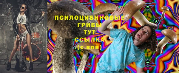 дмт Армянск