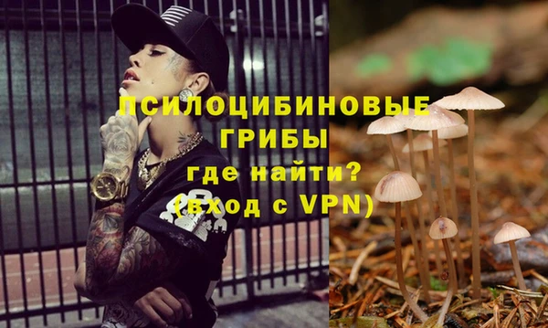 мяу мяу мука Арсеньев